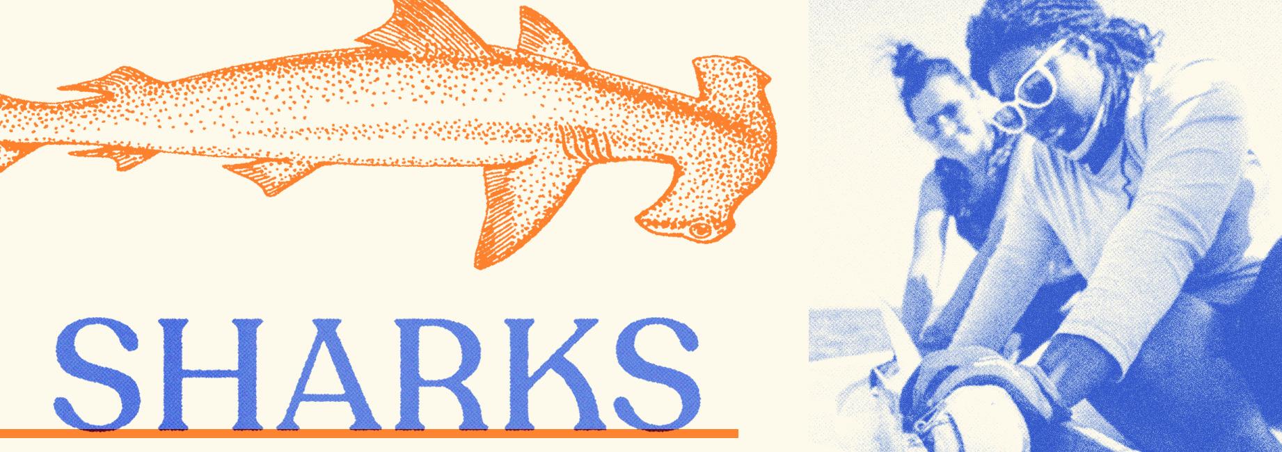 Book cover art showing illustrations of sharks and photos of a woman's face with the words Sharks Don't Sink By Jasmine Graham