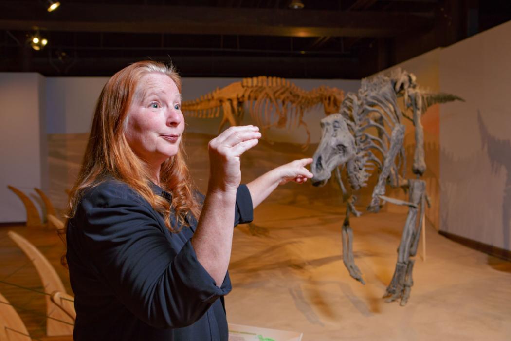 Woman stands in front of display of replica life-size dinosaur fossil skeletons with her arm and hand making a upside down L shape