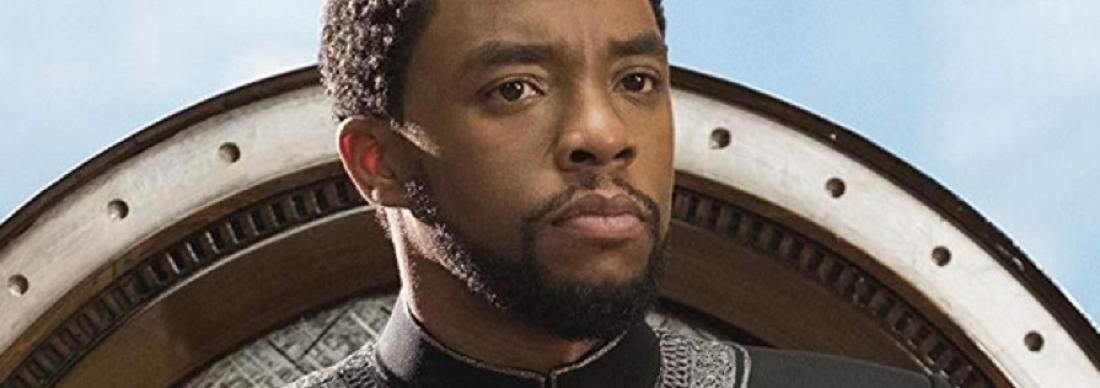 Chadwick Boseman in Black Panther