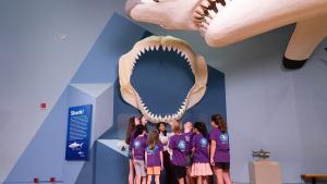 Group of students in purple shirts stand with adult educator with giant shark jaw mounted on wall behind them.