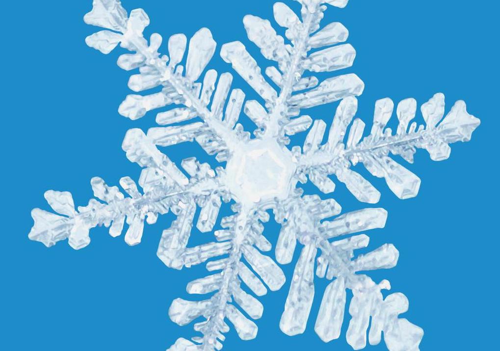 Snow flake