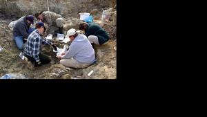 Four men and one woman in long sleeved outdoorsy clothing crouch or sit in the dirt around a shallow hole.