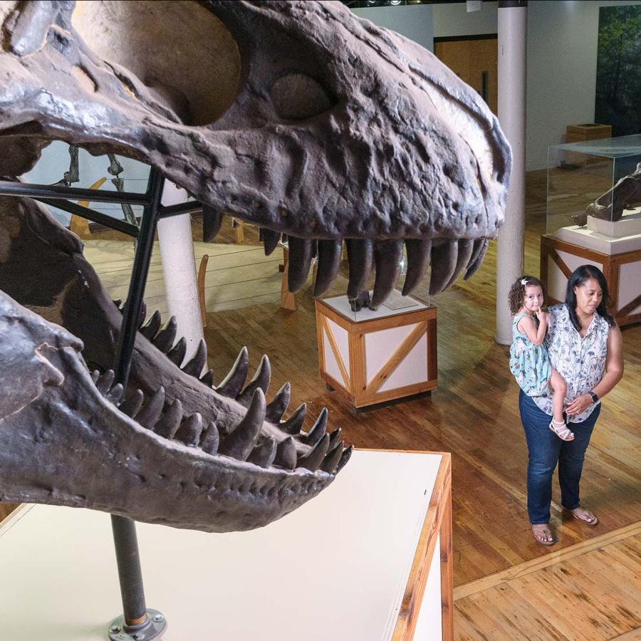 A mother holding a child looks at her son standing close by as he looks up in awe at a T-Rex skull at the South Carolina State Museum.