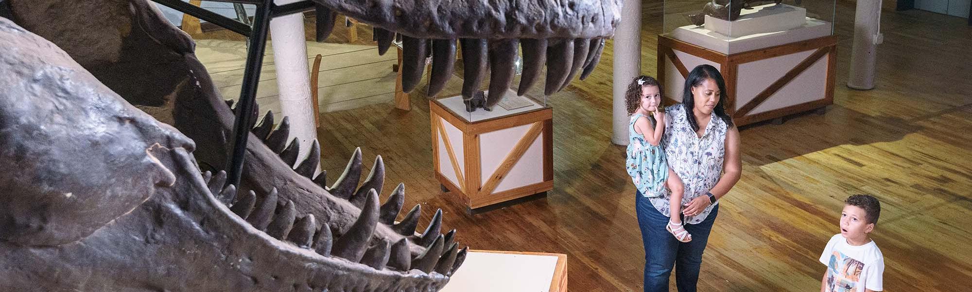A mother holding a child looks at her son standing close by as he looks up in awe at a T-Rex skull at the South Carolina State Museum.