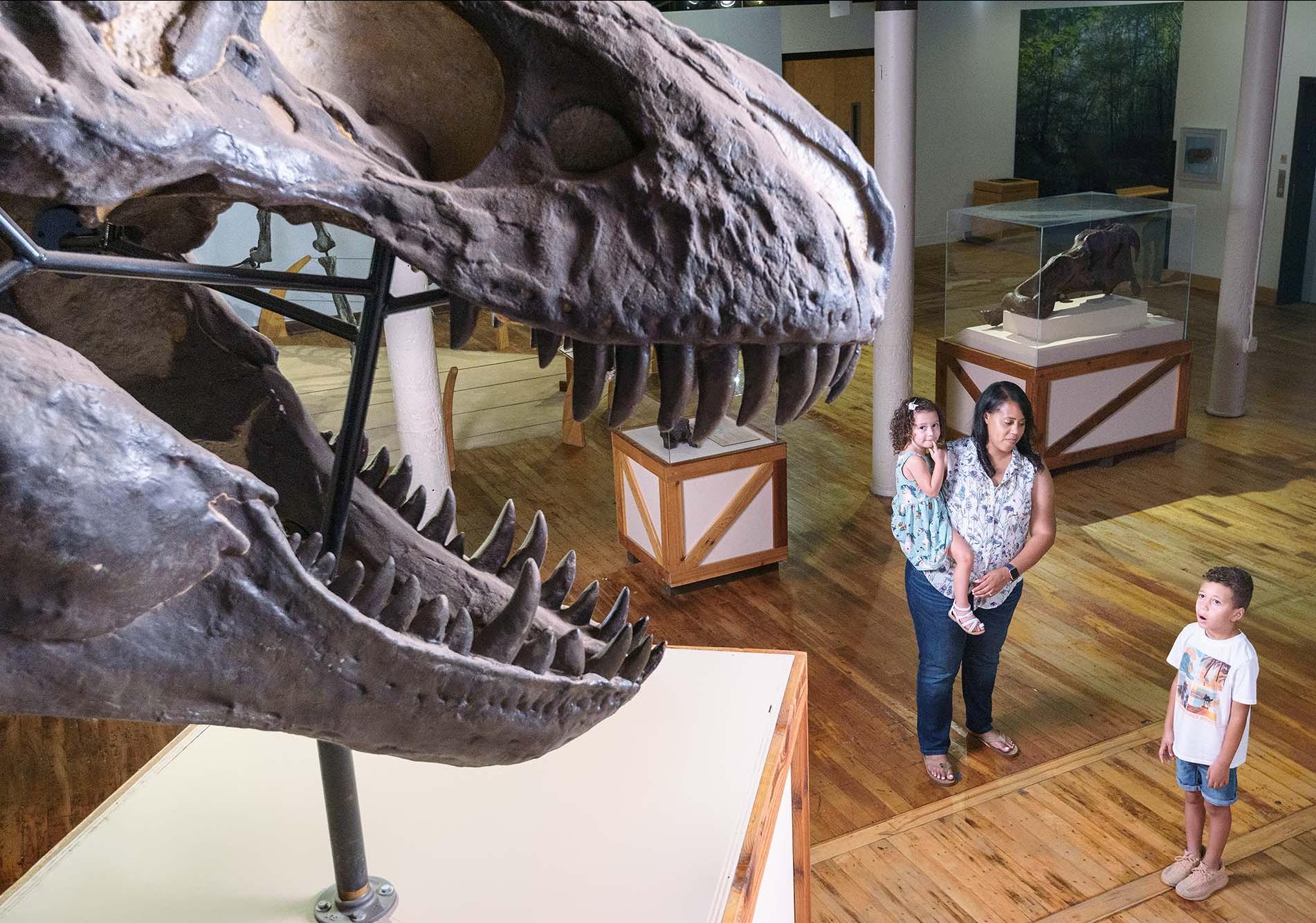 A mother holding a child looks at her son standing close by as he looks up in awe at a T-Rex skull at the South Carolina State Museum.