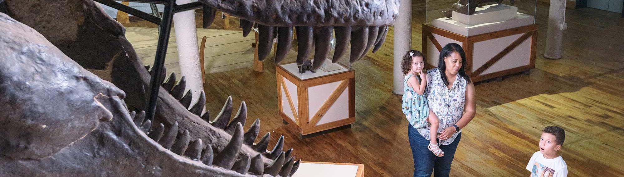 A mother holding a child looks at her son standing close by as he looks up in awe at a T-Rex skull at the South Carolina State Museum.