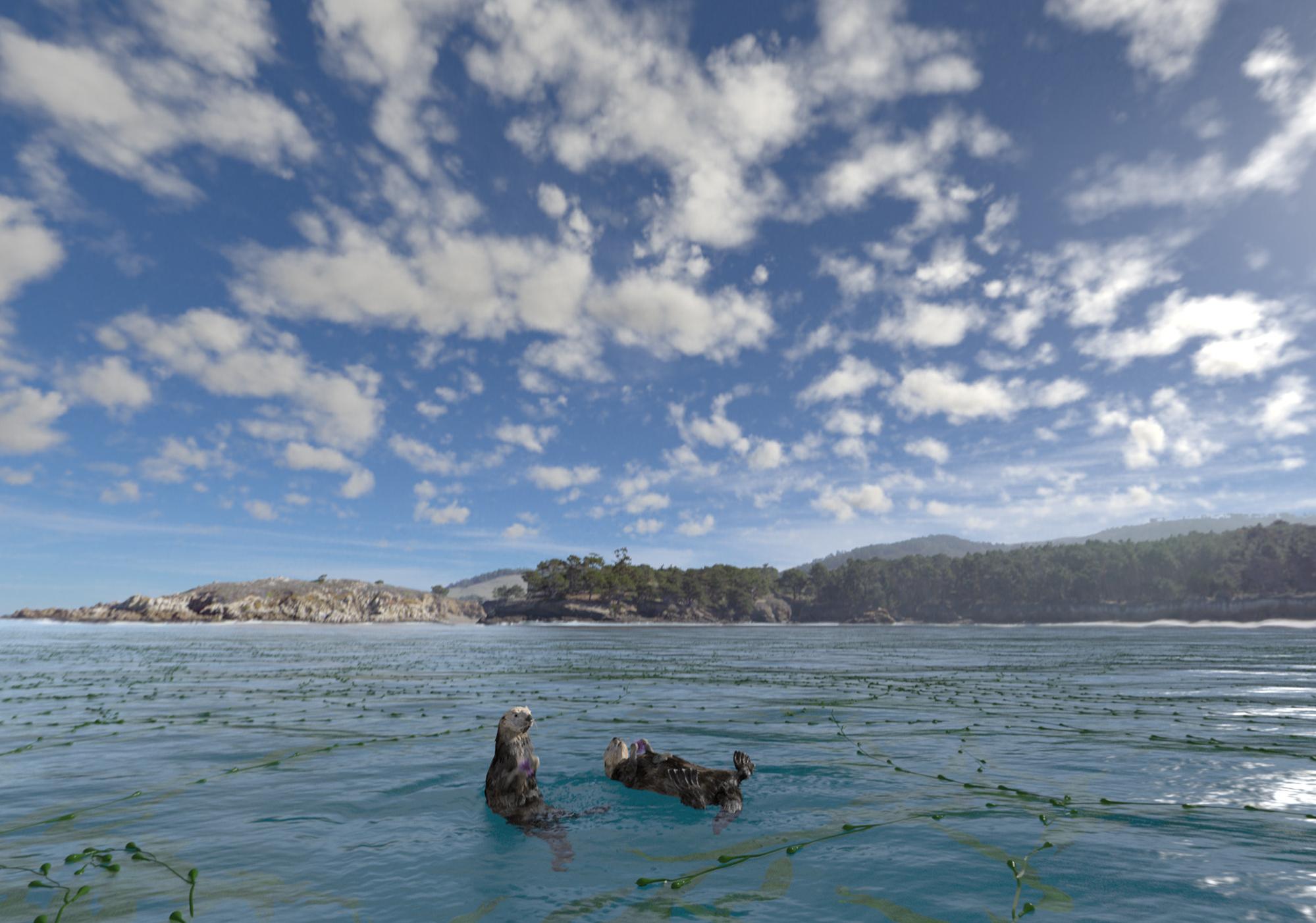 Two otters swim on their backs in bright blue water with hills in the distant background