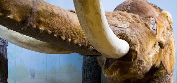Mastodon Blog Banner