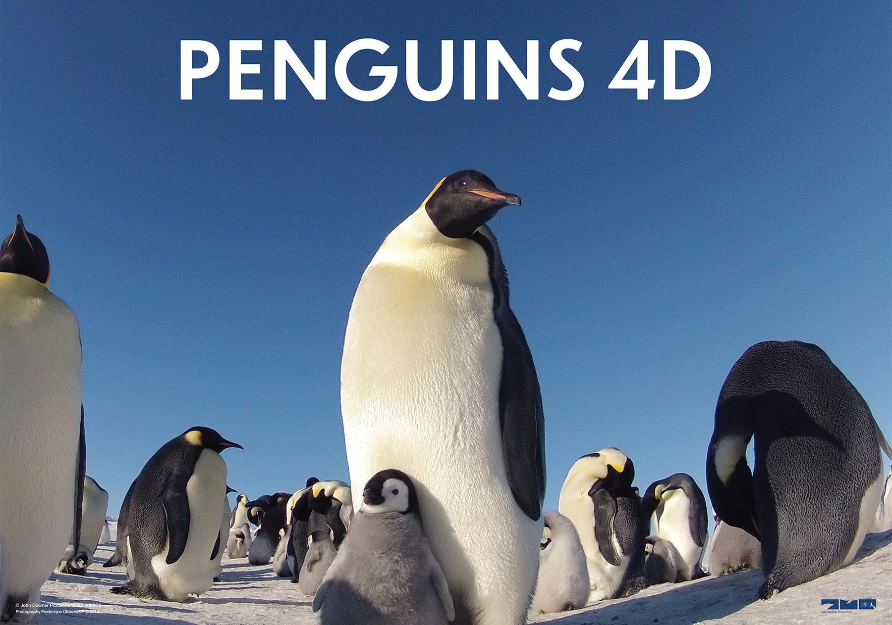 Large adult penguin stands against a blue sky with a fuzzy baby penguin in front of it.