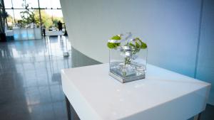 Formally set table next to exterior of the planetarium dome with glass wall visible in the background