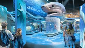 Colorful drawing shows large shark hanging from ceiling and new underwater themed exhibition display