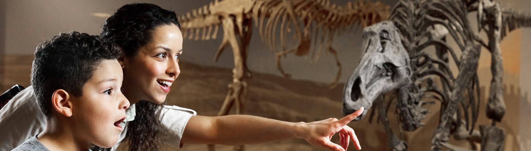 South Carolina State Museum, Dinosuar, South Carolina, Family, Things to Do, Columbi