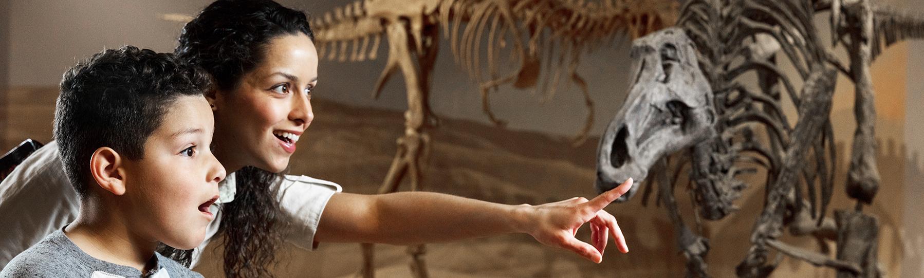 South Carolina State Museum, Dinosuar, South Carolina, Family, Things to Do, Columbi