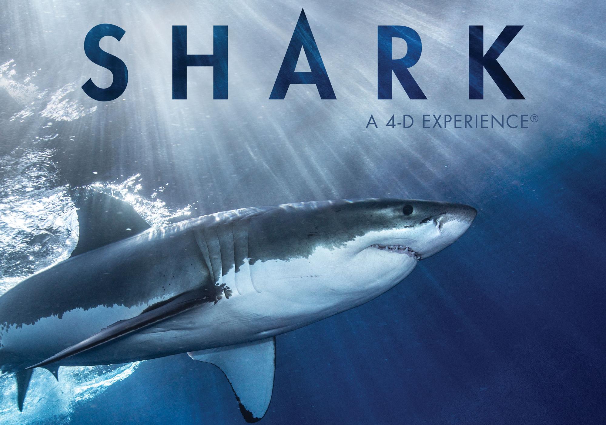 Great White Shark swimming underwater with the title "Shark 4-D Experience" above it