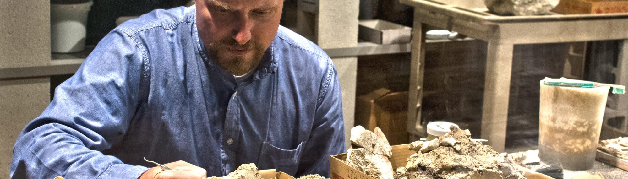 Bearded man in blue shirt hold small scraping instrument up against a rock containing a fossil specimen.