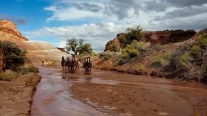 Desert plateaus with stream running between them and a herd of horses running together through the stream.